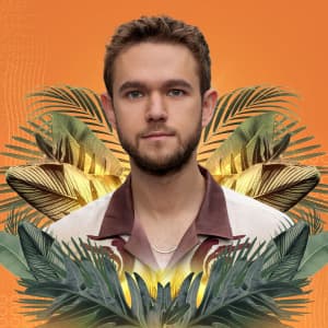 Zedd flyer