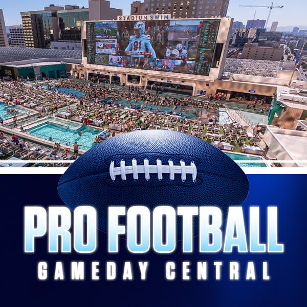Pro Football at Stadium Swim flyer