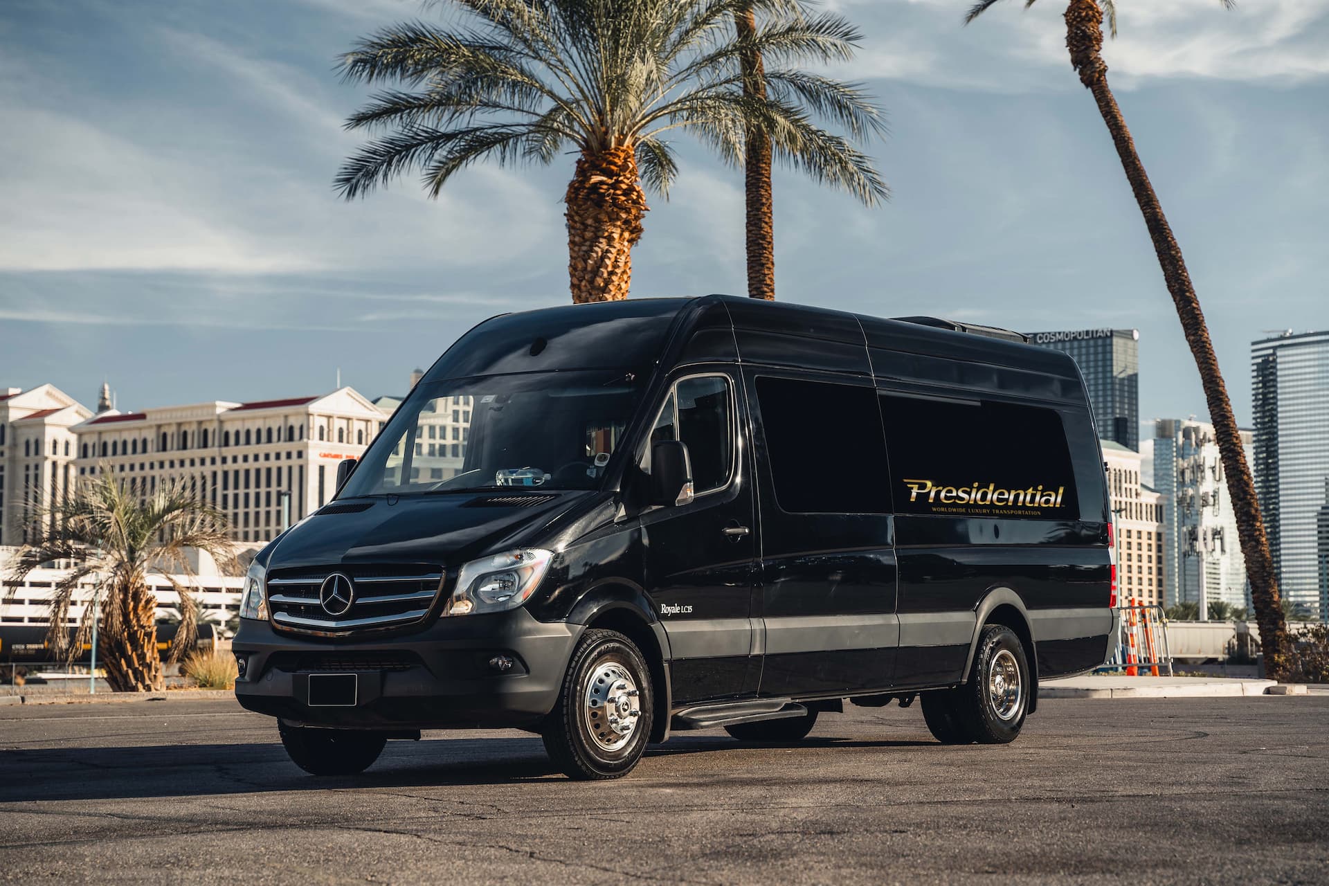 Sprinter Limo 6